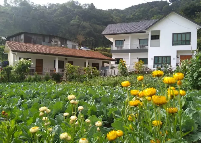 Ng Family\'S Farm Stay