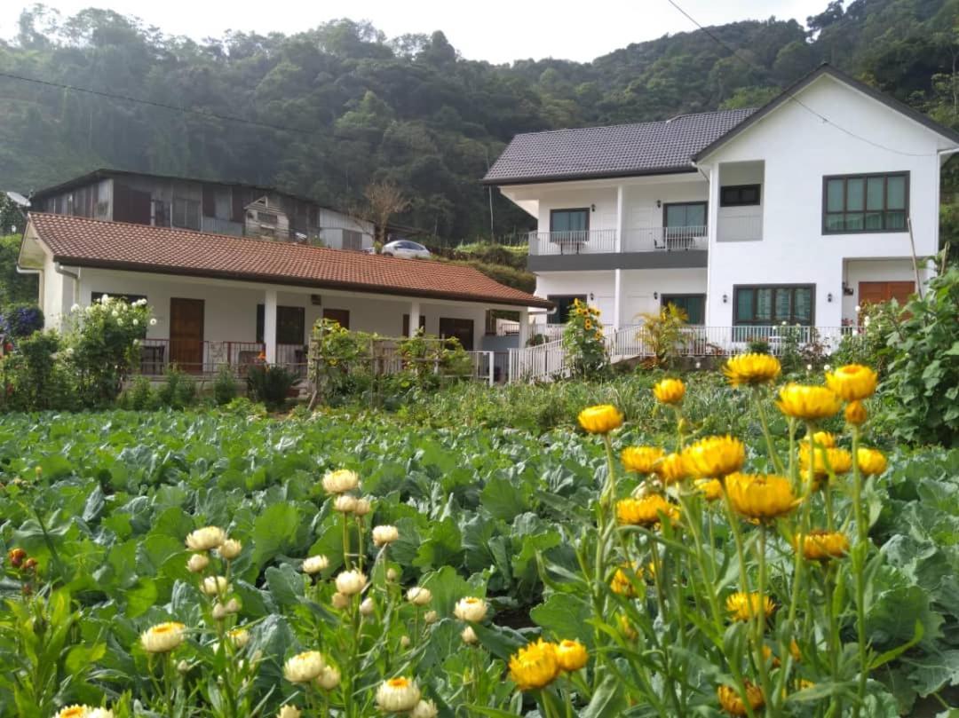 Ng Family's Farm Cameron Highlands