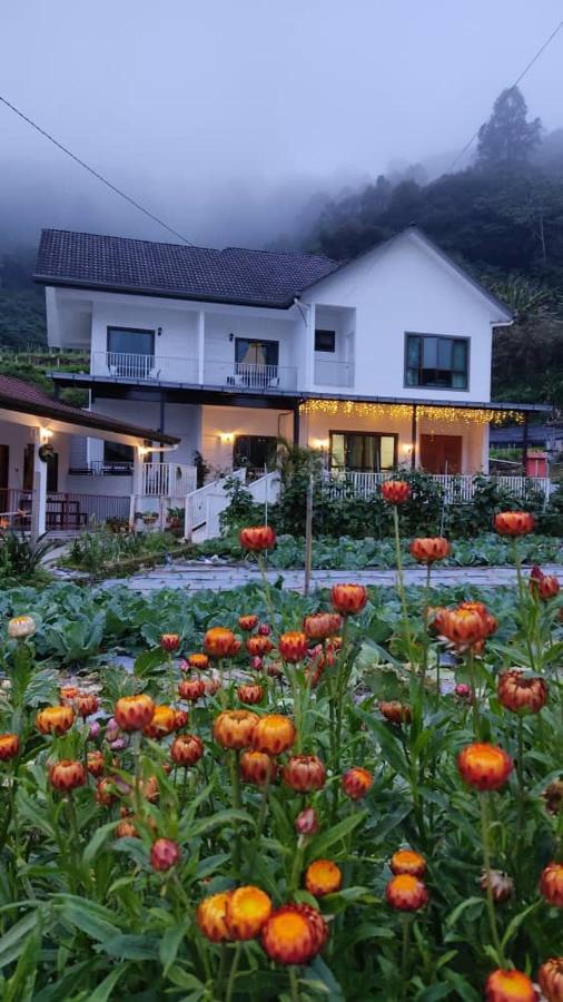 Homestay Ng Family's Farm *