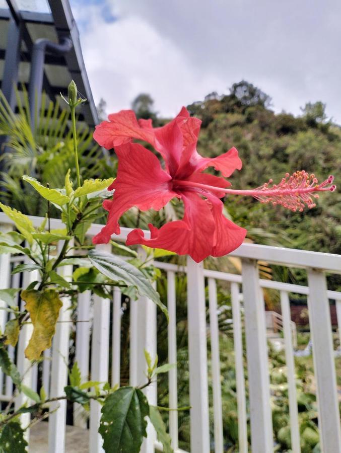 Homestay Ng Family's Farm